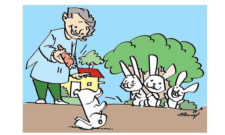 முயலின் குட்டிக் கரணம்!