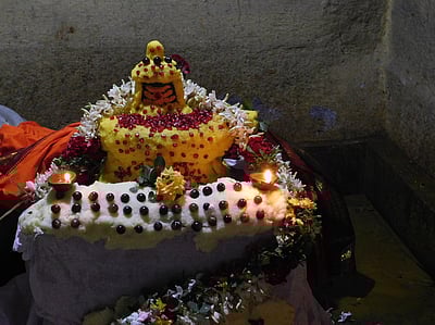 ஒட்டன்சத்திரம் அருகே நல்காசி விஸ்வநாதா் கோவிலில் அன்னபிஷேகம்