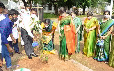 காந்தி அருங்காட்சியகத்தில் அரிய வகை மரக்கன்றுகள் நடல்