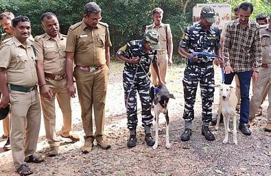 சுருளி வனப்பகுதியில் மோப்ப நாய்கள் மூலம் ரோந்து