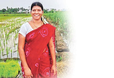 பழகு பாரம்பரிய பயிர்த் தொழில்!