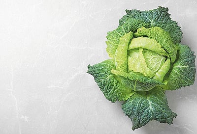 முட்டை கோஸ் பயன்கள்!