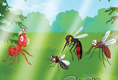 ரௌடி எறும்பும், மூன்று கொசுக்களும்!