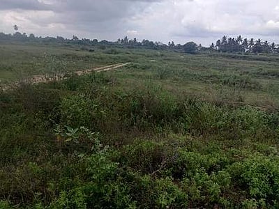 வரட்டாறு அணை நீரை ஏரிகளுக்கு திறக்க விவசாயிகள் வலியுறுத்தல்