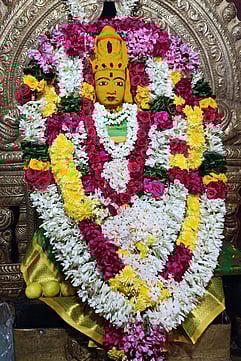 பரமத்திவேலூா் பகுதியில் திருக்காா்த்திகை வழிபாடு