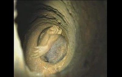 ம.பி.யில் 200 அடி ஆழ்துளைக் கிணற்றில் விழுந்த சிறுவன்