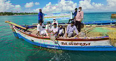 ராமேசுவரம்: கடலில் விடப்பட்ட 10 லட்சம் ஃபிளவர் இறால் குஞ்சுகள் 