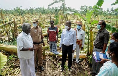 பயிா்ச் சேதங்கள்: ஆட்சியா் ஆய்வு