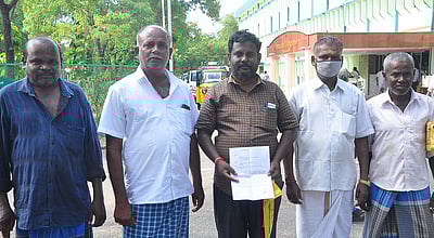 ஆமத்தூா் பகுதியில் மக்காச்சோளப் பயிா்களை சேதப்படுத்தும்காட்டுப்பன்றிகளை அப்புறப்படுத்தக் கோரிக்கை