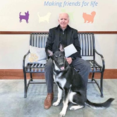 வளர்ப்பு நாயுடன் விளையாட்டு: ஜோ பைடன் காயம்