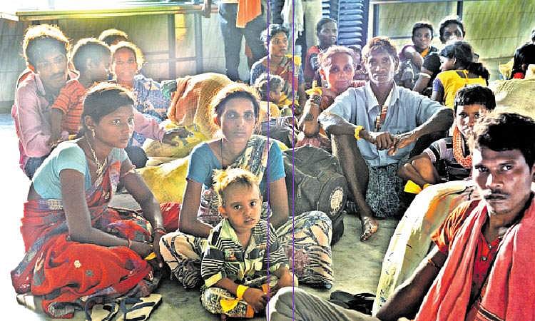 தொடரும் அவலம்: 5 ஆண்டுகளில் 4,400 கொத்தடிமைகள் மீட்பு