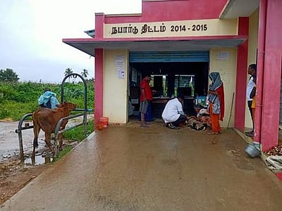 சேலம் அருகே திடீர் திடீரென கால்நடைகள் உயிரிழப்பு: விவசாயிகள் வேதனை