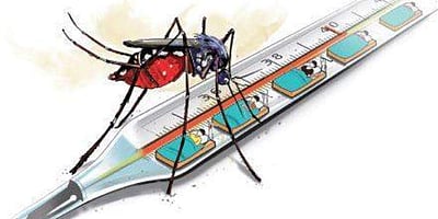 கேரளத்தில் மிக அரிய மலேரியா நோய் கண்டுபிடிப்பு