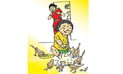 அறிவுக்குருவி!