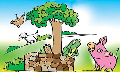 ஒரு தவளையும் அதனுடைய கிணறும்! 