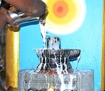 மருதீஸ்வரா் ஆலயத்தில் சனிப்பிரதோஷ விழா