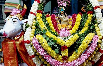 சங்ககிரி ஈஸ்வரன் கோயிலில் சனி மஹா பிரதோஷ சிறப்பு பூஜை