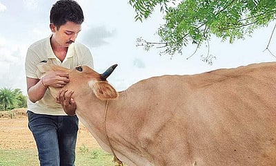 விலங்குகளைப் பாதுகாப்பது பெரும் சவால்!