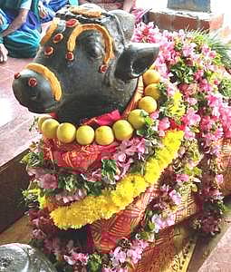 சிவன் கோயில்களில் சனி பிரதோஷ சிறப்பு பூஜை