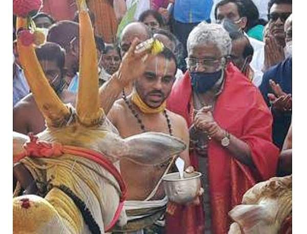 கோயிலுக்கு ஒரு பசு மாடு திட்டம்: விரைவில் தமிழகத்திலும் தொடக்கம்