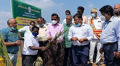 மழை பாதிப்பு: ஒரு வாரத்துக்குள் அரசிடம் அறிக்கை சமா்ப்பிக்கப்படும் வேளாண் இயக்குநா் தகவல்