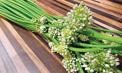 வெங்காயப் பூவின் மகத்துவம்!