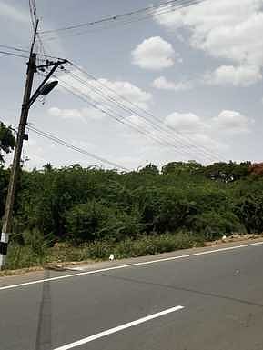 ராமசாமிபட்டியில் மின்கம்பிகளை உரசும் மரங்களை அகற்றக் கோரிக்கை