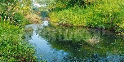 15 ஆண்டுகளுக்குப் பிறகு வாழப்பாடி சின்னாறு நீரோடையில் நீரூற்று: விவசாயிகள் மகிழ்ச்சி 