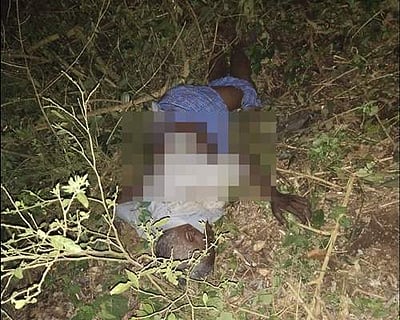 ஹைவேவிஸ் மலைக் கிராமத்தில் காட்டு யானை மிதித்து கூலித் தொழிலாளி பலி