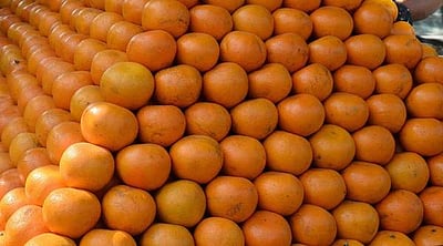 இளமையை தக்கவைத்துக்கொள்ள உதவும் ஆரஞ்சு