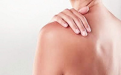 தோலின் பங்கு ...