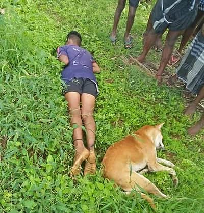 சுருளி அருவி அருகே மின்சாரம் பாய்ந்து சிறுவன், 4 நாய்கள் பலி