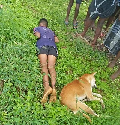 சுருளி அருவி அருகே மின்சாரம் பாய்ந்து சிறுவன், 4 நாய்கள் பலி