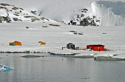 அண்டார்டிகாவையும் விட்டு வைக்காத கரோனா வைரஸ்: 36 பேர் பாதிப்பு