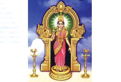 தேவியின் திருத்தலங்கள்: சங்கரன்கோவில் கோமதியம்மன்  - 4 