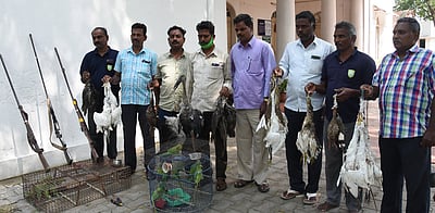 புதுச்சேரி அருகே வேட்டையாடப்பட்ட பறவைகள், நாட்டுத் துப்பாக்கிகள் பறிமுதல்