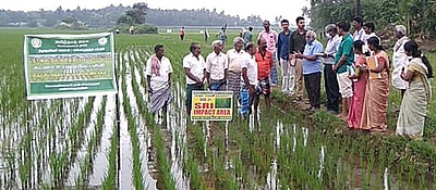 நீா்வள நிலவளத் திட்டப் பணிகள்: வேளாண் வல்லுநா் ஆய்வு