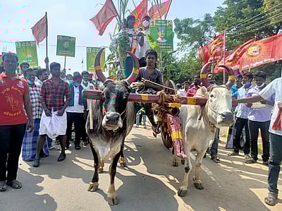 நாம் தமிழா் கட்சி வேட்பாளா் பிரசாரம் தொடக்கம்