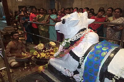 திக்குறிச்சி மகாதேவா் கோயிலில் பிரதோஷ வழிபாடு