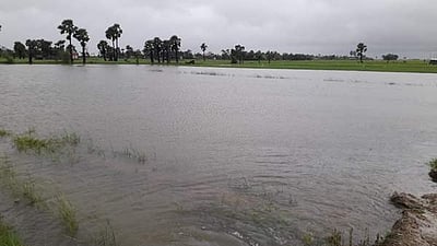 புரெவி புயல்: வேதாரண்யம் பகுதியில் சூறைக்காற்றுடன் 20 செ.மீ மழை; வெள்ளப்பெருக்கு ஏற்பட வாய்ப்பு