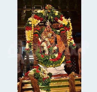 திருவாதிரைத் திருவிழா: நெல்லையப்பர் கோவிலில் ஆருத்ரா தரிசனம்!