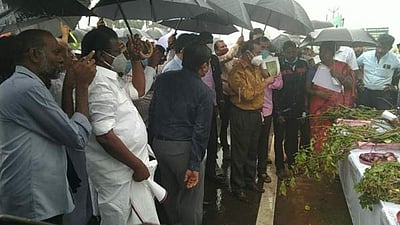 வடக்குப்பனையூர் பகுதியில் மத்திய குழுவினர் ஆய்வு