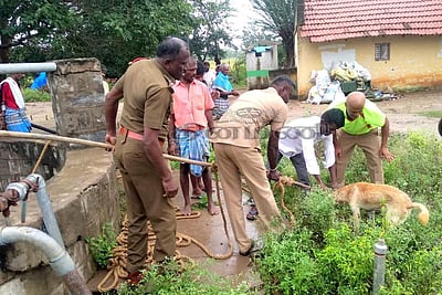 மணப்பாறை அருகே கிணற்றில் விழுந்த நாய்க்குட்டியை மீட்ட தீயணைப்புத்துறை