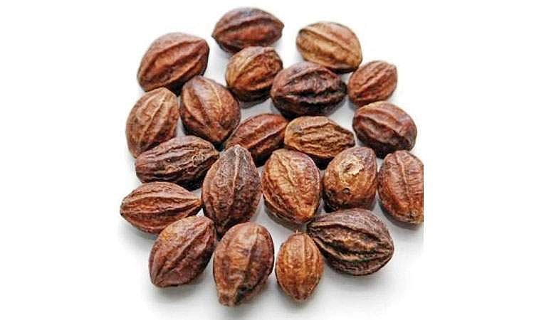 ஆயுள் காக்கும் ஆயுர்வேதம்: கடுக்காயின் மருத்துவ குணங்கள்!