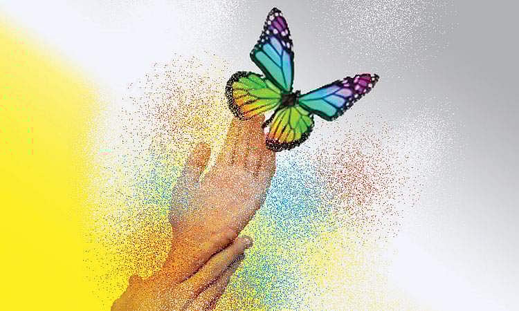 வண்ணத்துப் பூச்சி!