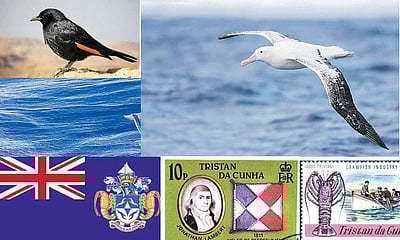 கருவூலம்: ட்ரிஸ்டன் டா  குன்ஹா!