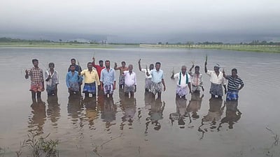 சீர்காழி அருகே தண்ணீரில் மூழ்கிய 600 ஏக்கர் விளைநிலம்: விவசாயிகள் போராட்டம்