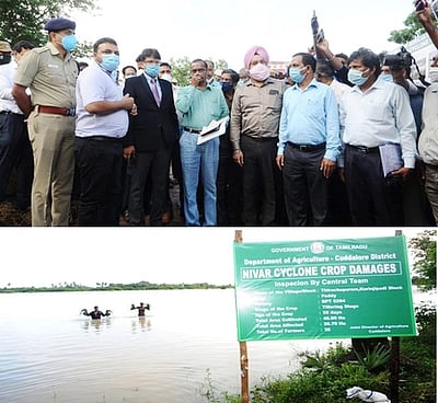 ‘நிவா்’ புயல் பாதிப்புகடலூா் மாவட்டத்தில் மத்தியக் குழுவினா் ஆய்வு