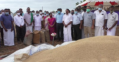 நெல் கொள்முதல்: வியாபாரிகளுக்கும் துணைபோகும் அதிகாரிகள் மீது நடவடிக்கை