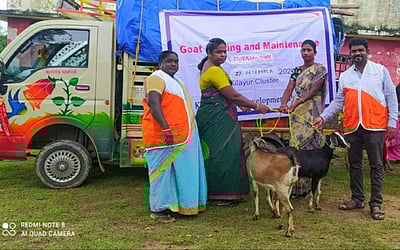 கீழையூரில் 100 பயனாளிகளுக்கு ஆடு வழங்கல்